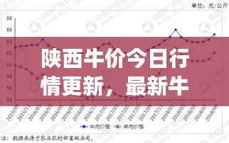 陕西牛价今日行情更新，最新牛市场走势分析