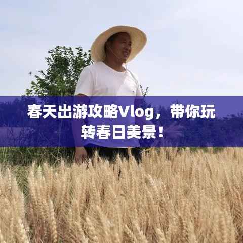 春天出游攻略Vlog,带你玩转春日美景!