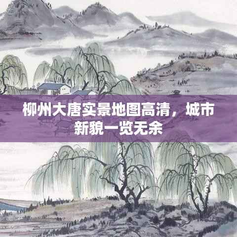 柳州大唐实景地图高清，城市新貌一览无余