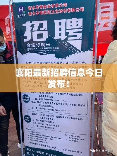 襄阳最新招聘信息今日发布！