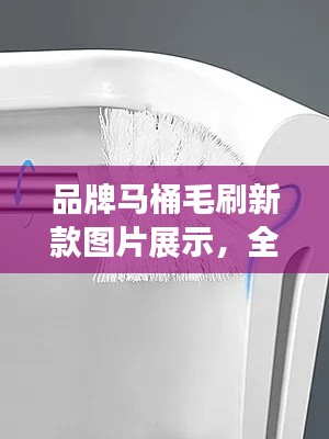 品牌马桶毛刷新款图片展示,全面评测,不容错过!