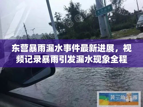 东营暴雨漏水事件最新进展,视频记录暴雨引发漏水现象全程追踪