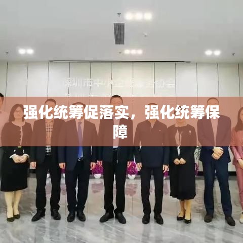 强化统筹促落实，强化统筹保障 