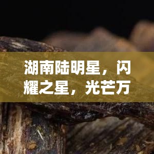 湖南陆明星，闪耀之星，光芒万丈