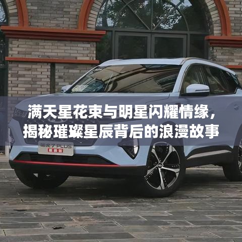 满天星花束与明星闪耀情缘，揭秘璀璨星辰背后的浪漫故事