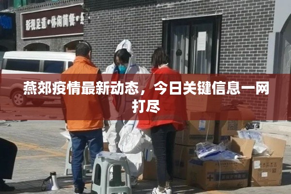 燕郊疫情最新动态，今日关键信息一网打尽