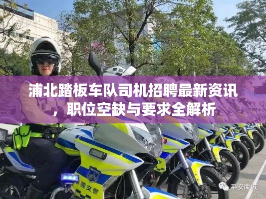 浦北踏板车队司机招聘最新资讯,职位空缺与要求全解析