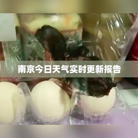 林下风范 第2页