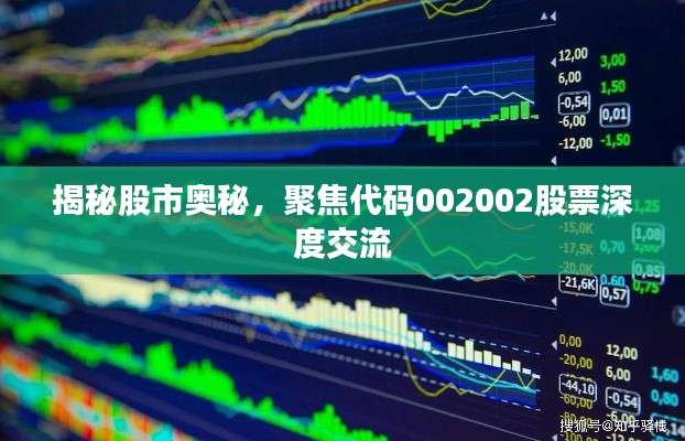 揭秘股市奥秘,聚焦代码002002股票深度交流