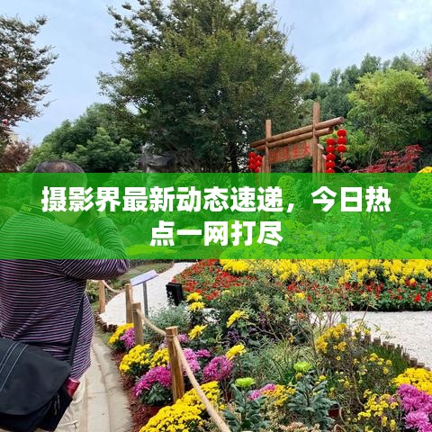 摄影界最新动态速递，今日热点一网打尽