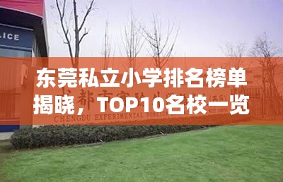东莞私立小学排名榜单揭晓，TOP10名校一览