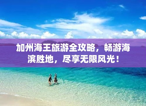 加州海王旅游全攻略，畅游海滨胜地，尽享无限风光！