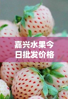 嘉兴水果今日批发价格一览，新鲜实惠不容错过