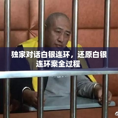 独家对话白银连环,还原白银连环案全过程