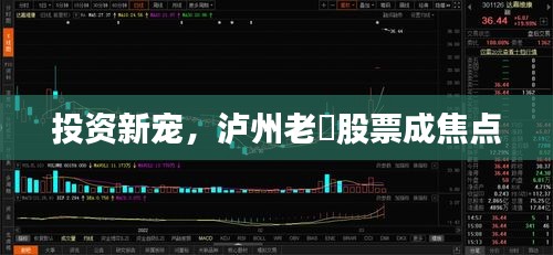 投资新宠，泸州老滘股票成焦点