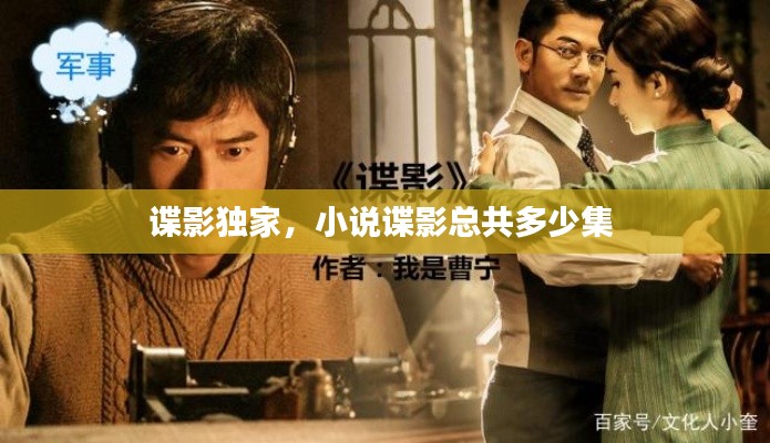 谍影独家,小说谍影总共多少集