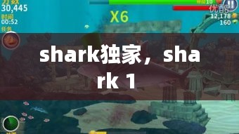 shark独家,shark 1