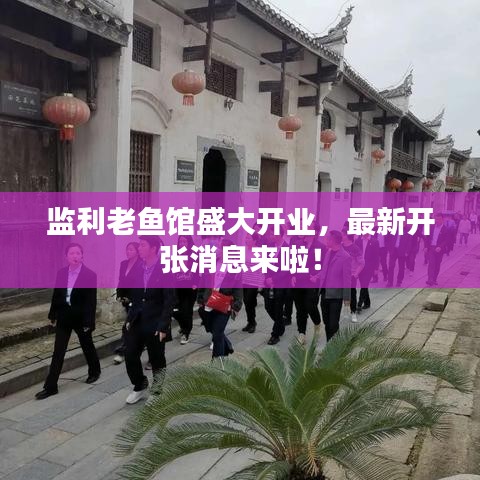 监利老鱼馆盛大开业，最新开张消息来啦！