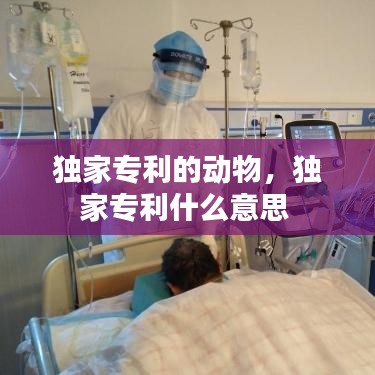 物离乡贵