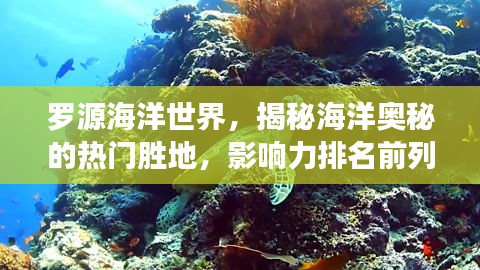 罗源海洋世界，揭秘海洋奥秘的热门胜地，影响力排名前列！