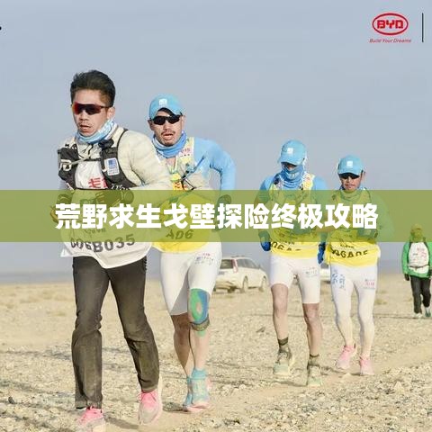 荒野求生戈壁探险终极攻略