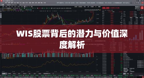 WIS股票背后的潜力与价值深度解析