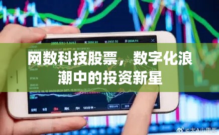 网数科技股票，数字化浪潮中的投资新星
