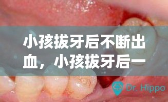 走马章台