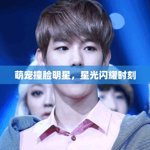 萌宠撞脸明星，星光闪耀时刻