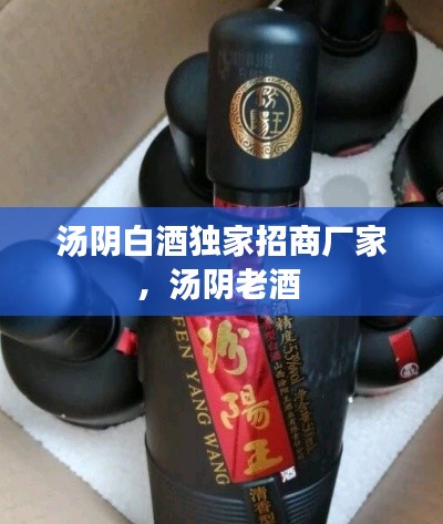 汤阴白酒独家招商厂家，汤阴老酒 