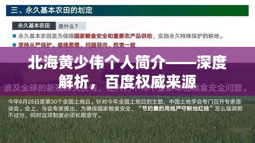 北海黄少伟个人简介——深度解析，百度权威来源