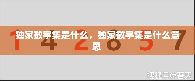 独家数字集是什么,独家数字集是什么意思