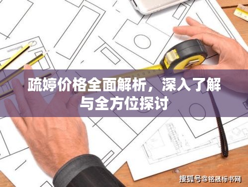 疏婷价格全面解析，深入了解与全方位探讨