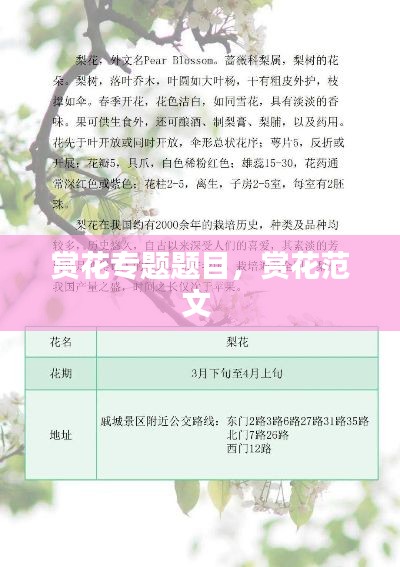 赏花专题题目,赏花范文