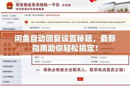 闲鱼自动回复设置秘籍，最新指南助你轻松搞定！