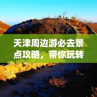 穷鸟入怀 第2页