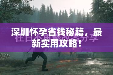 深圳怀孕省钱秘籍,最新实用攻略!