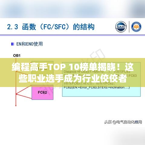 编程高手TOP 10榜单揭晓！这些职业选手成为行业佼佼者