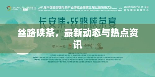 瞋目张胆