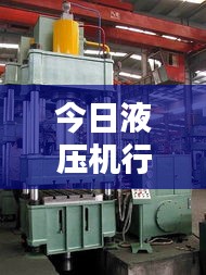 展翅高飞