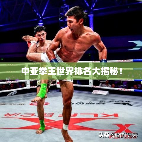 中亚拳王世界排名大揭秘!
