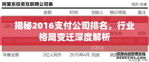 揭秘2016支付公司排名，行业格局变迁深度解析