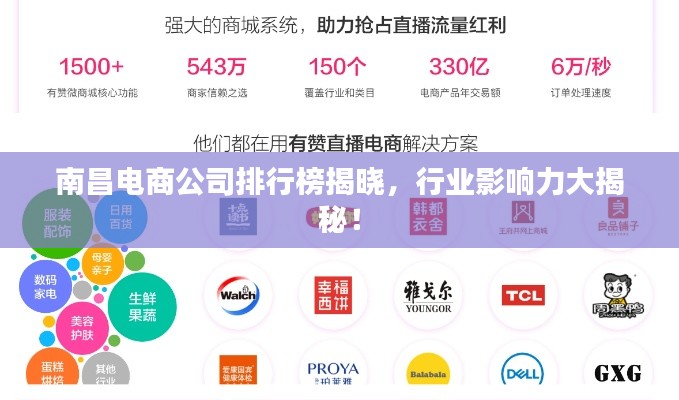 南昌电商公司排行榜揭晓，行业影响力大揭秘！