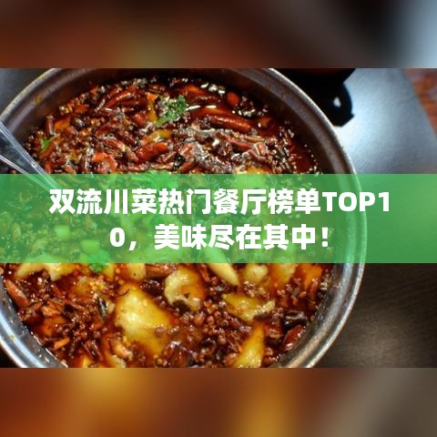双流川菜热门餐厅榜单TOP10,美味尽在其中!